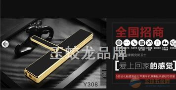 厂价直销，开启智慧安防新生活——揭秘高端智能品牌指纹密码防盗锁308