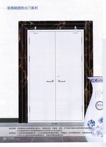 沈阳住龙金刚金属制品厂 坚固防护，守护万家——卓越品质防盗门的匠心制造者